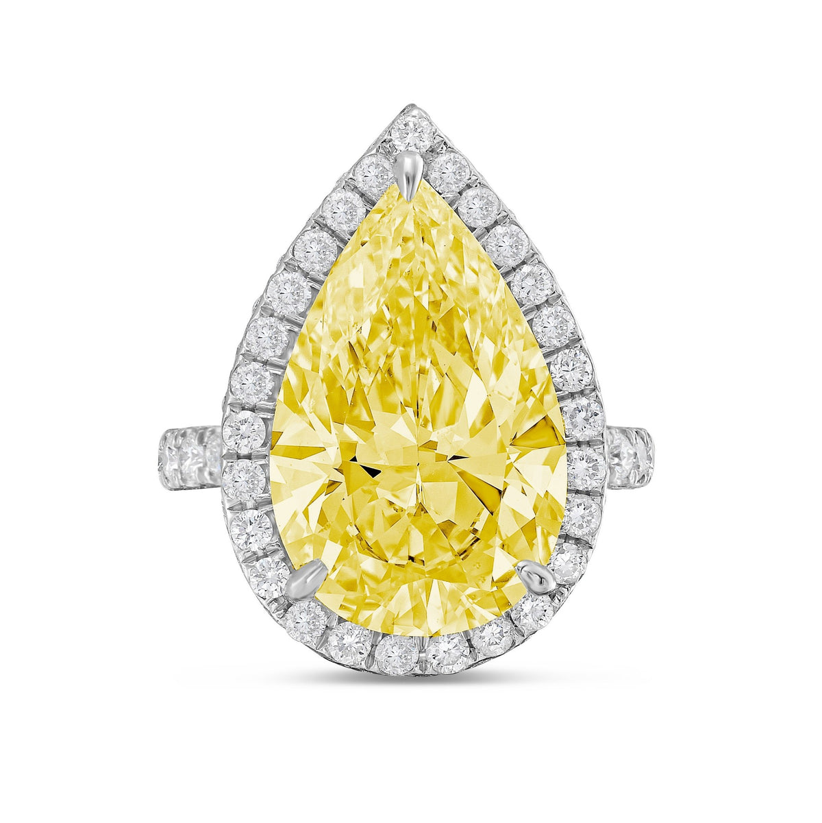 Lab-Grown Yellow Pear Diamond Halo Ring with Micropavé Band in 14K White Gold