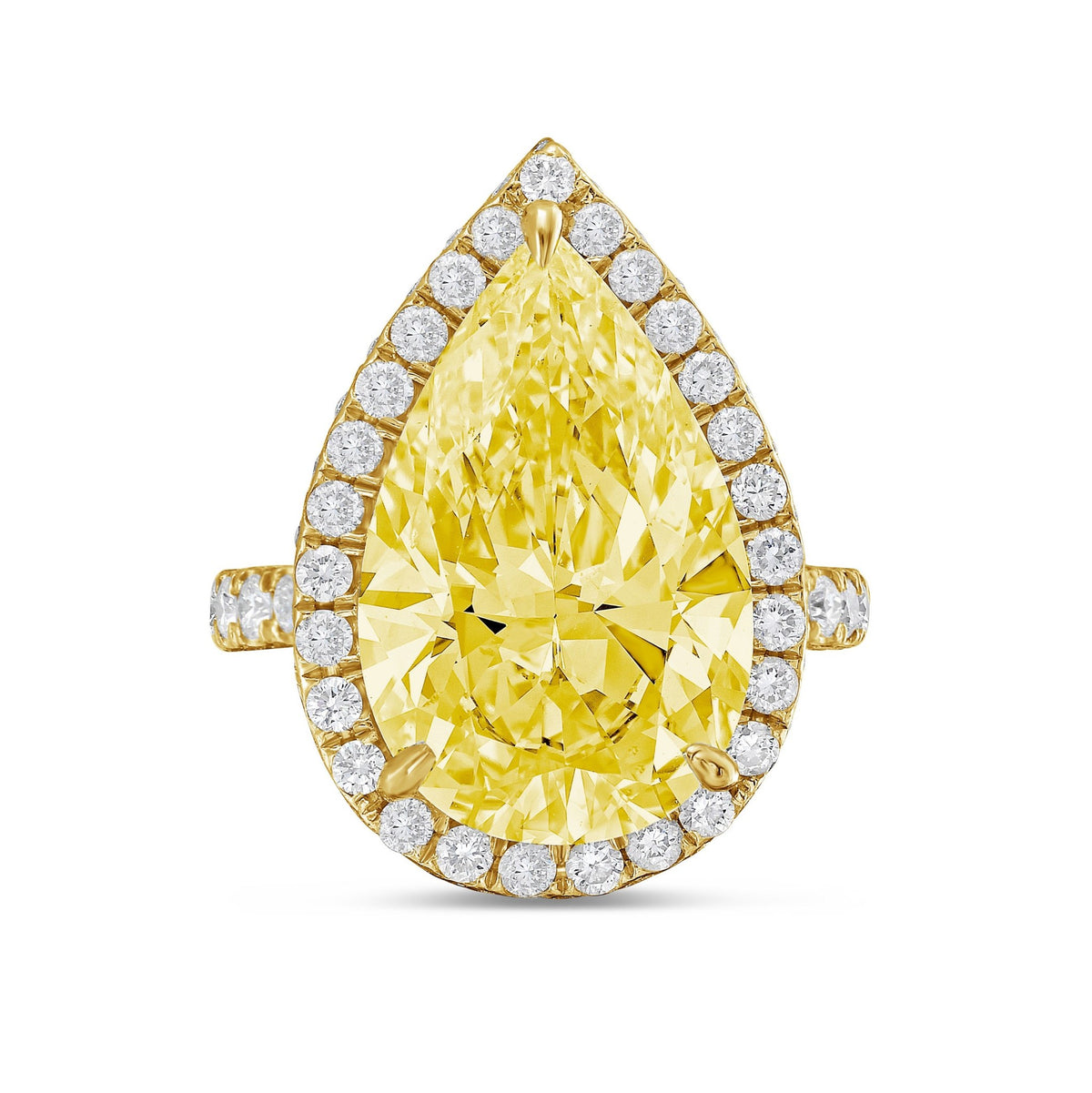 Lab-Grown Yellow Pear Diamond Halo Ring with Micropavé Band in 14K Yellow Gold