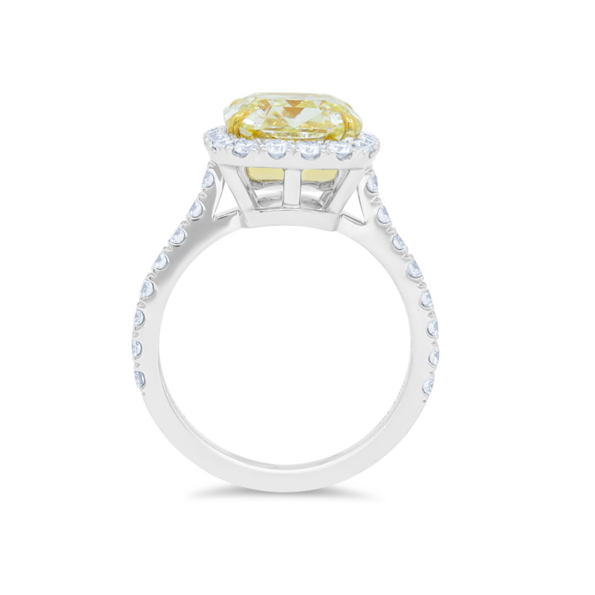 5.01ct I-VVS2 Asscher cut diamond ring with micropavé halo