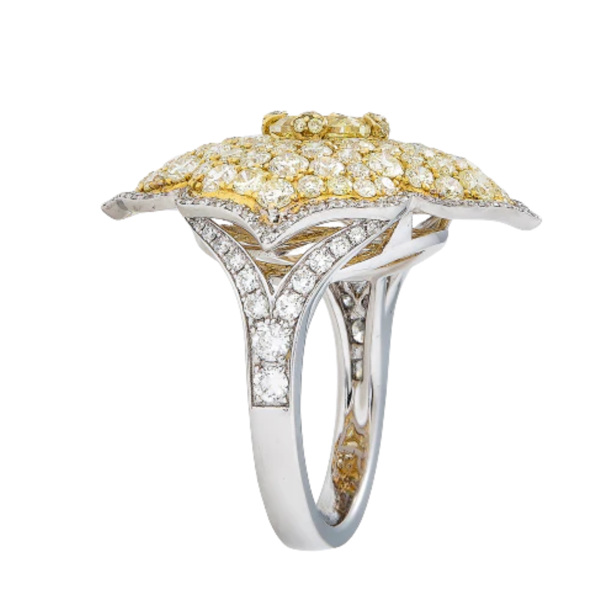 PASHA RING