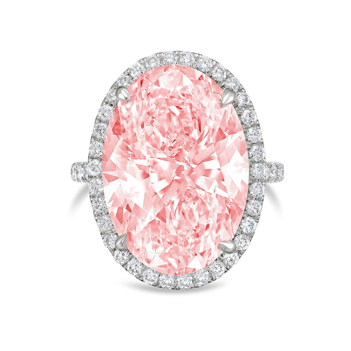 Lab-Grown Pink Oval Diamond Halo Ring with Micropavé Band in 14K White Gold